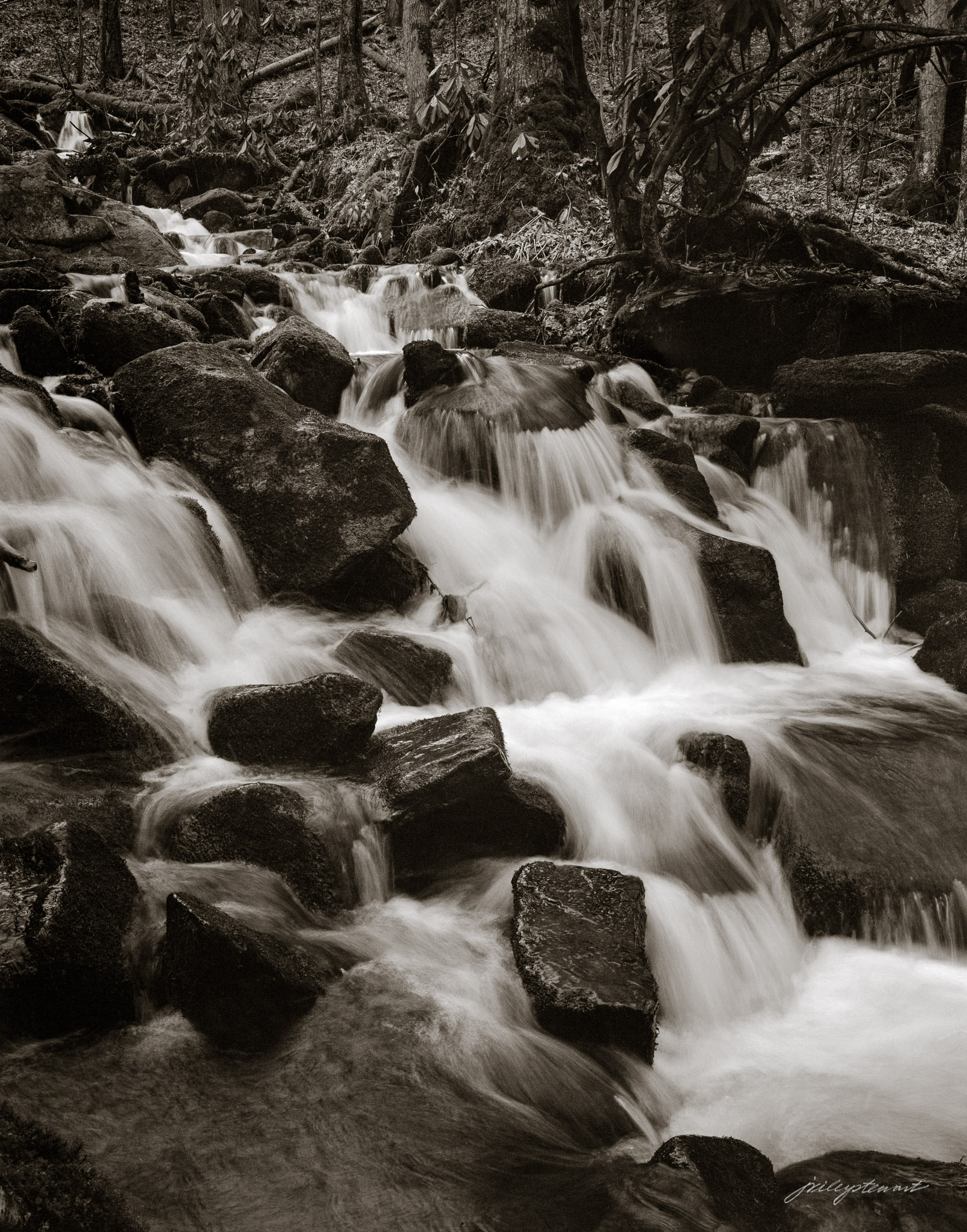 Moonlight Cascade